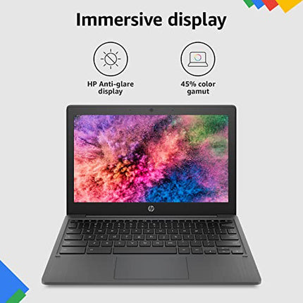 HP CHROMEBOOK MEDIATEK KOMPANIO 500 11.6 INCH(29.5 CM) HD, ANTI -GLARE, TOUCHSCREEN LAPTOP(4 GB LPDDR4/64 GB EMMC STORAGE/CHROME OS/DUAL SPEAKERS/ASH GRAY/1.07 KG)-11A-NA0004MU